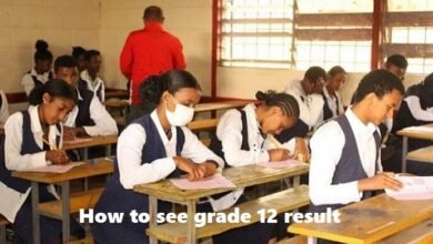 how to see grade 12 result