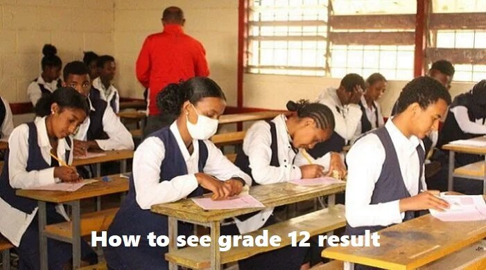 how to see grade 12 result