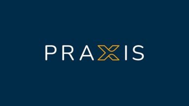 praxis international business plc