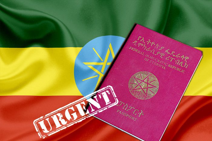 ethiopian passport online
