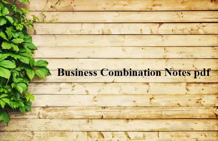 business combination notes pdf