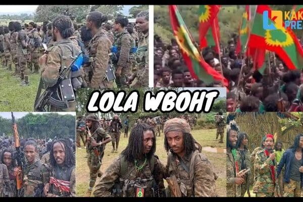 lola wbo